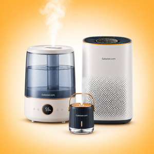 Humidifier & Purifier