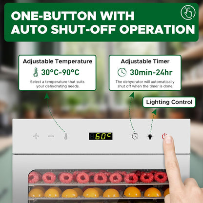 Premium Stainless Steel Food Dehydrator – 10 Trays