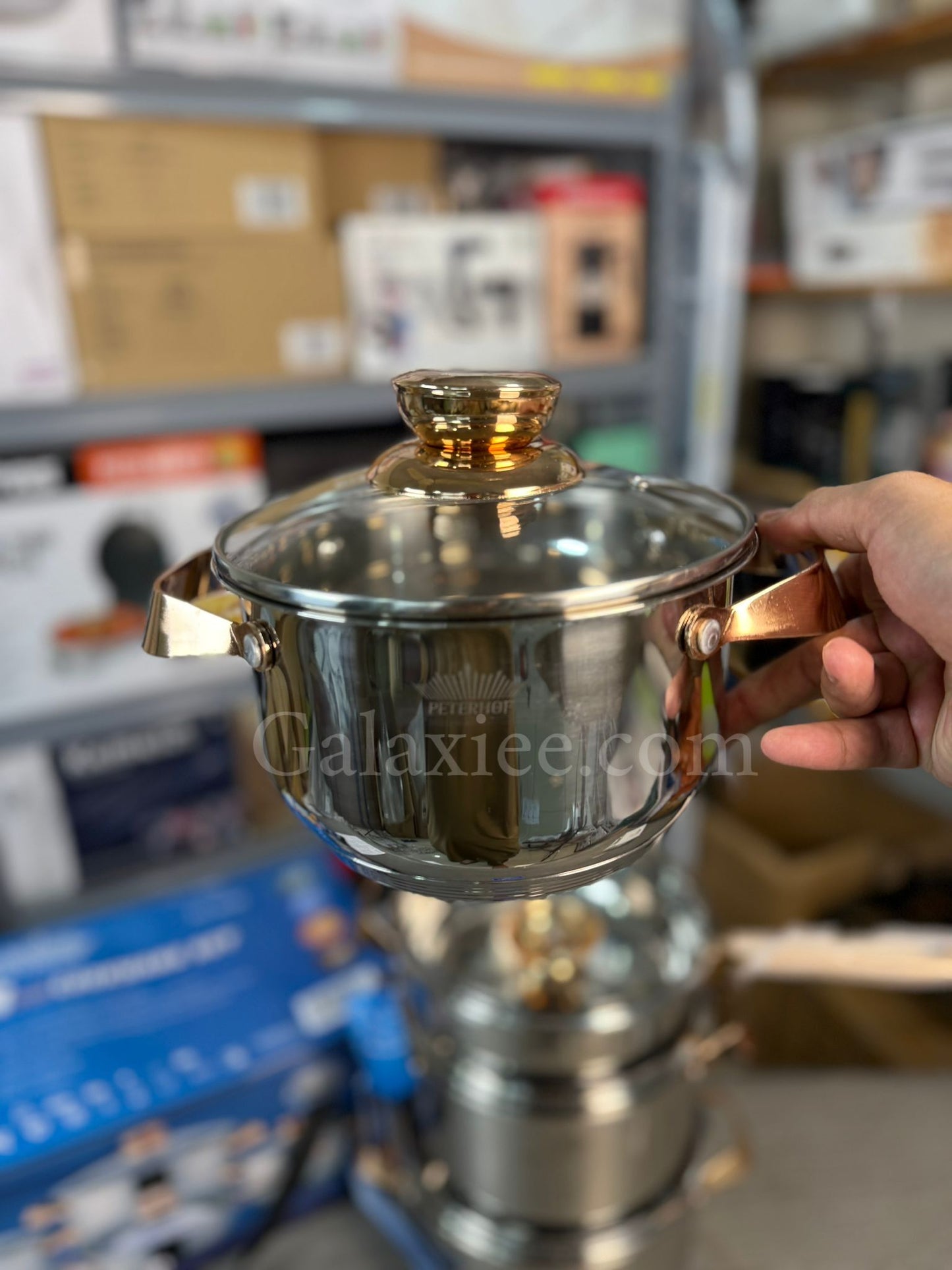 German Lot Peterhof 8-Piece Stainless Steel Cookware Set | Premium PH-Series