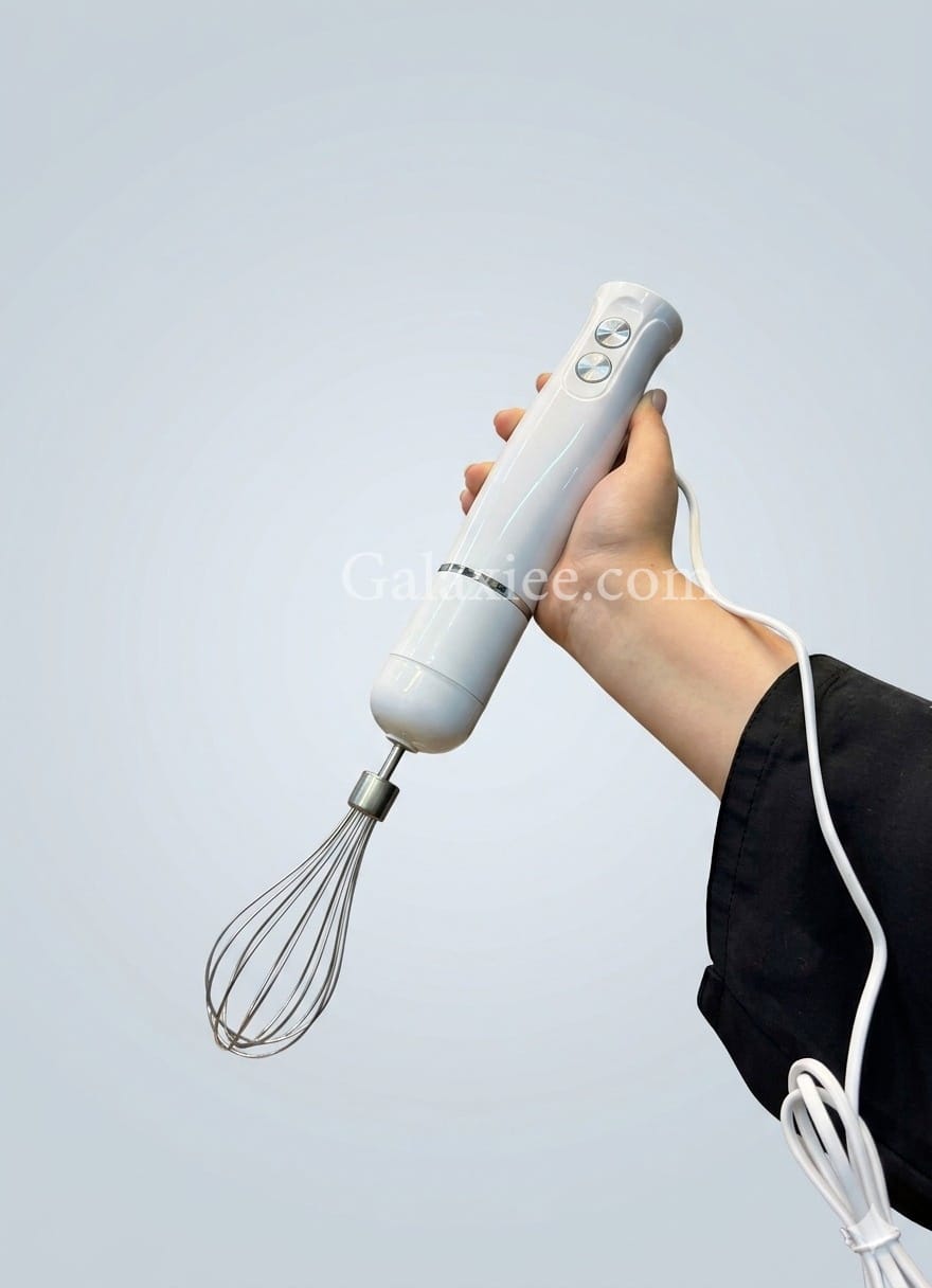 RELICE RL-256 Hand Blender 3-in-1 700W | Galaxiee