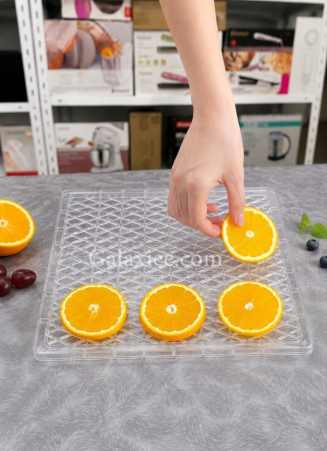 Sonifer SF-4006 6-Tray Food Dehydrator Galaxiee