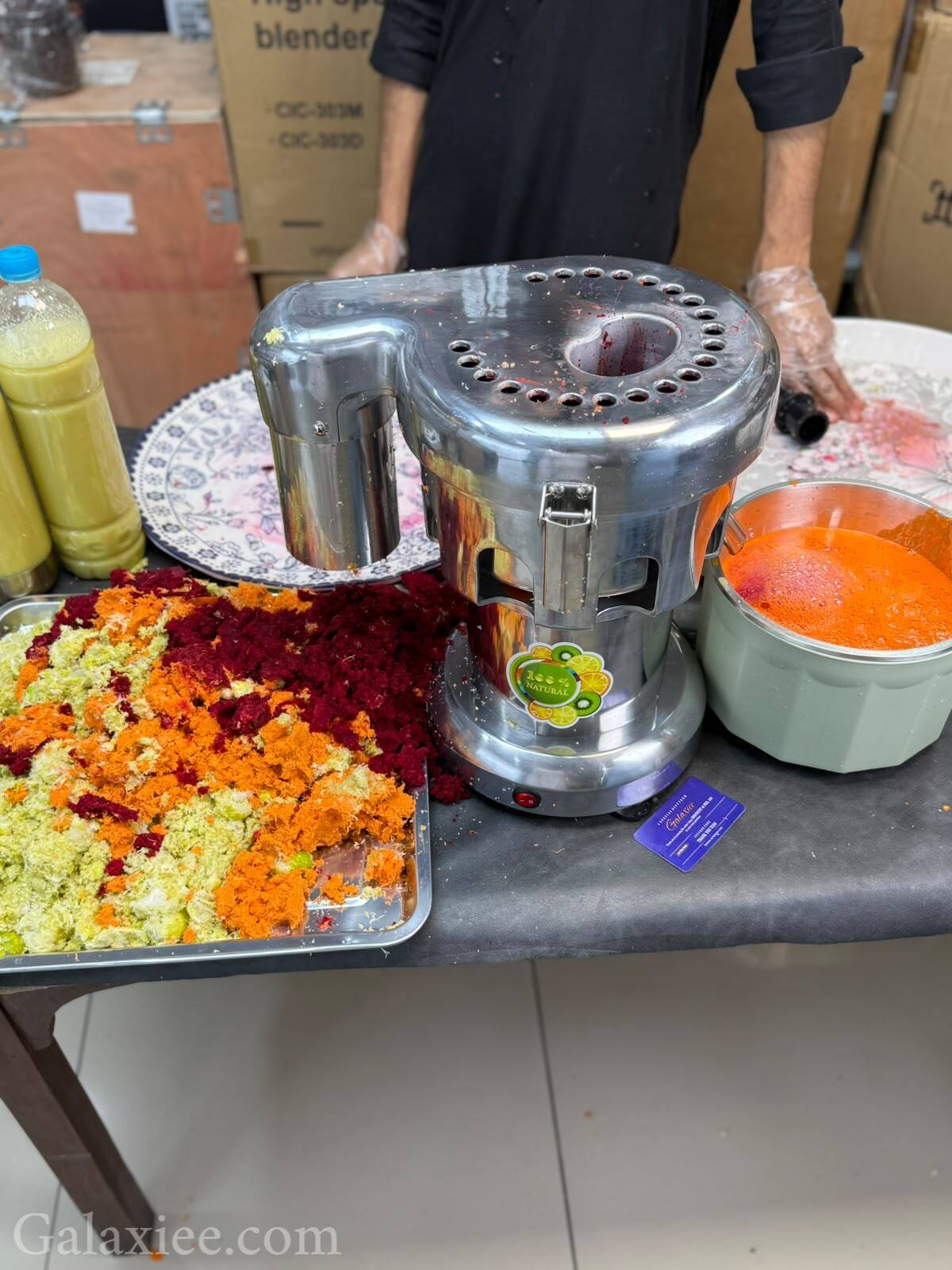 WF-A3000 Commercial Stainless Steel Juicer 370W  Galaxiee