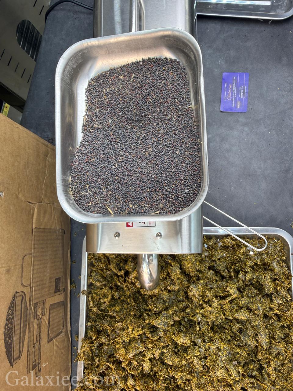 Stainless Steel Oil Press Machine – Pure & Fresh Oil at Home!