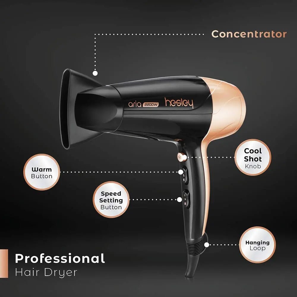 Hesley Professional Quick Hair Dryer - Galaxiee.com