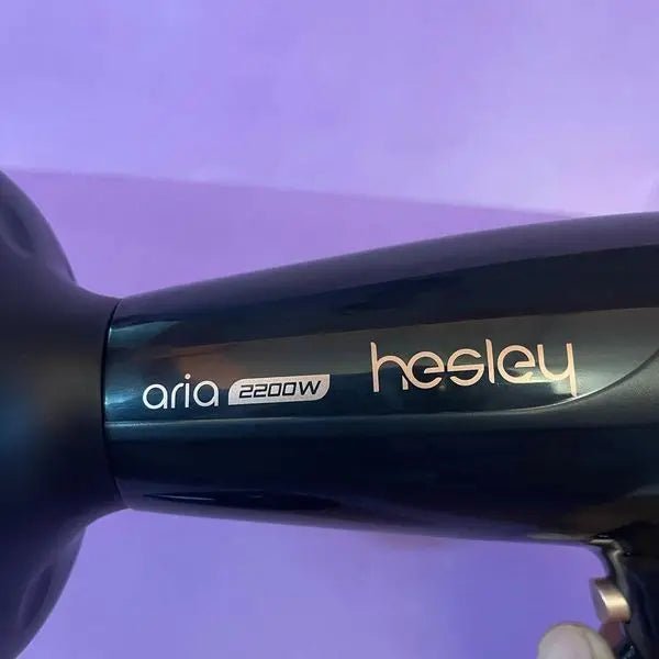 Hesley Professional Quick Hair Dryer - Galaxiee.com