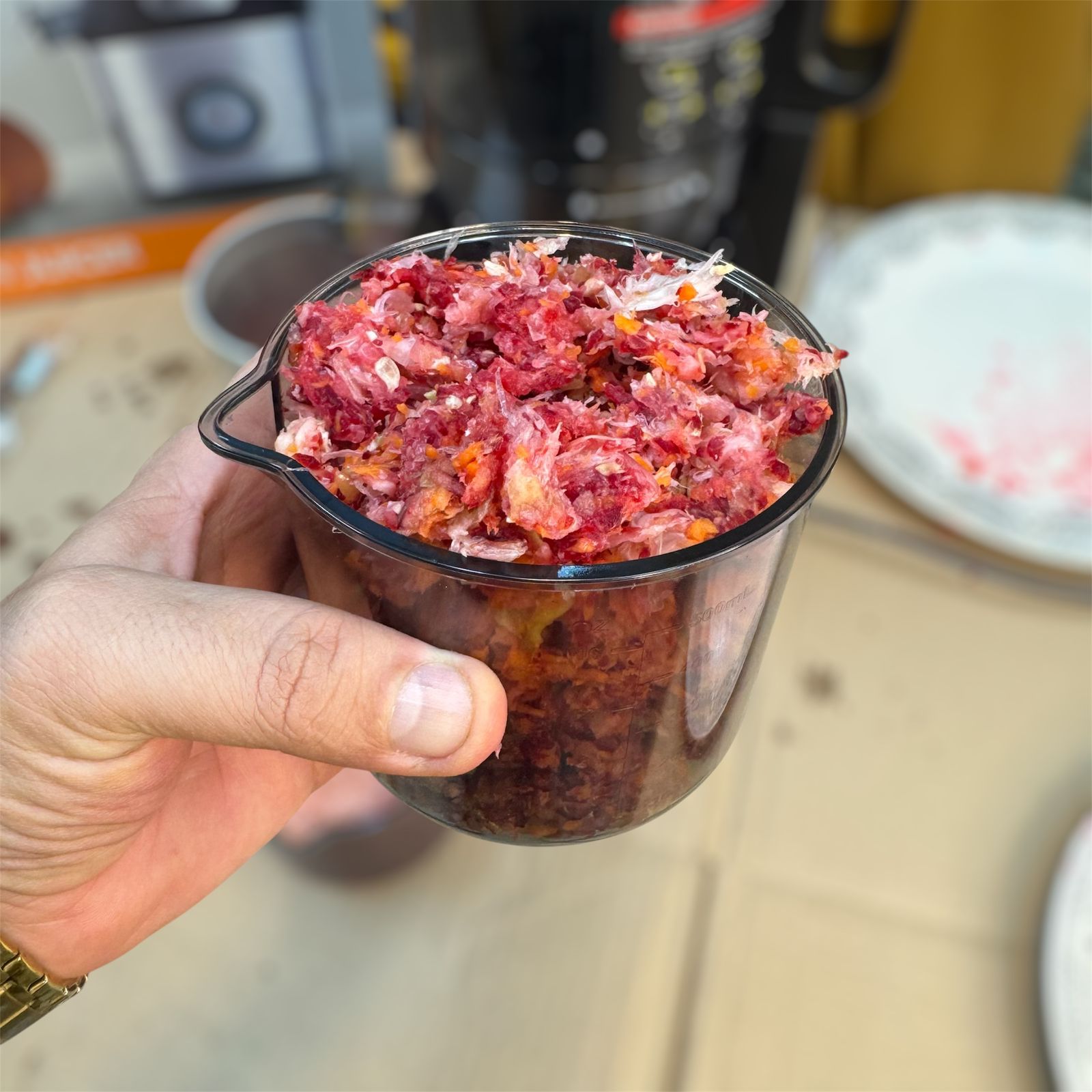 Kolax Germany Cold Press Slow Juicer – Model 79321 | 800W Powerful Whole Fruit Juicer - Buy Online Pakistan | Galaxiee.com