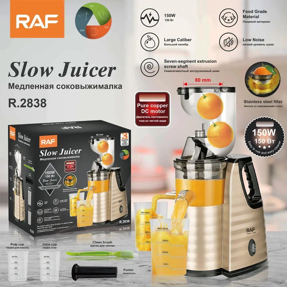 Slow Press Juicer RAF Vegetable & Fruit Extractor Juicer Machine - Galaxiee.com