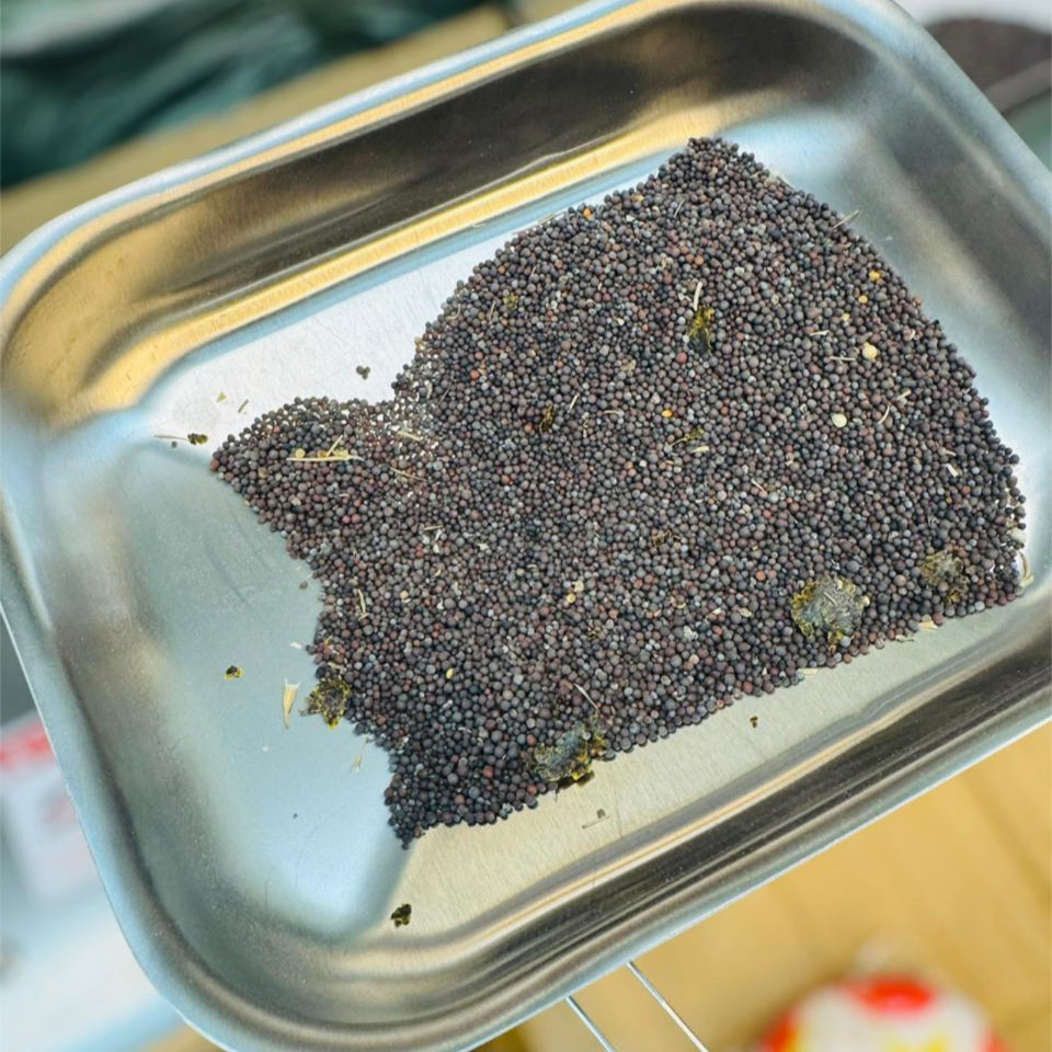 Stainless Steel Oil Press Machine – Pure & Fresh Oil at Home! - Buy Online Pakistan | Galaxiee.com